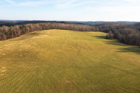 Stunning Farm for Sale in Floyd County VA! - image 1
