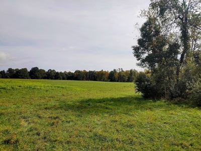 Stunning Farm for Sale in Floyd County VA! - image 28