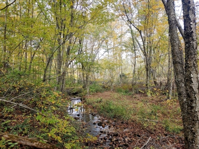 Stunning Farm for Sale in Floyd County VA! - image 21