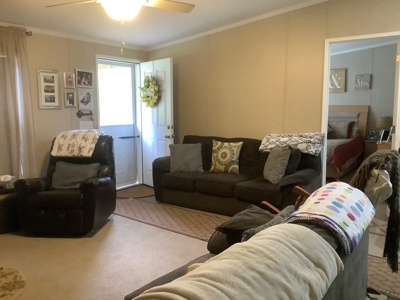 Very Private 3Bd 2 Bath Ranch Home,11 Acres In Upstate Ny - image 29