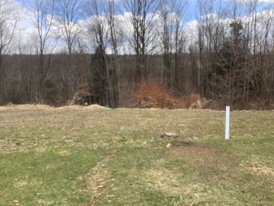 Very Private 3Bd 2 Bath Ranch Home,11 Acres In Upstate Ny - image 33