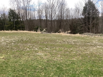 Very Private 3Bd 2 Bath Ranch Home,11 Acres In Upstate Ny - image 34