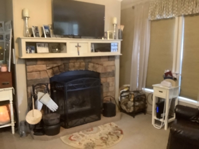 Very Private 3Bd 2 Bath Ranch Home,11 Acres In Upstate Ny - image 27
