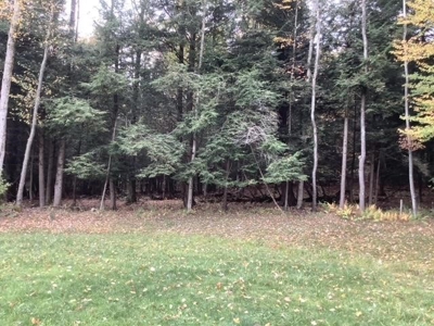 Very Private 3Bd 2 Bath Ranch Home,11 Acres In Upstate Ny - image 49