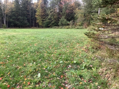 Very Private 3Bd 2 Bath Ranch Home,11 Acres In Upstate Ny - image 42