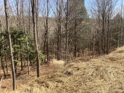 Very Private 3Bd 2 Bath Ranch Home,11 Acres In Upstate Ny - image 5
