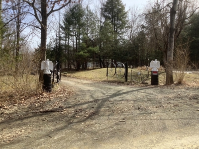 Very Private 3Bd 2 Bath Ranch Home,11 Acres In Upstate Ny - image 16