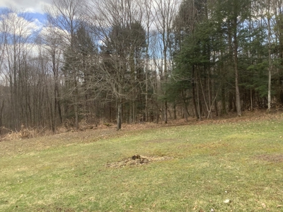 Very Private 3Bd 2 Bath Ranch Home,11 Acres In Upstate Ny - image 32