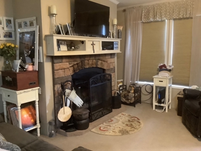 Very Private 3Bd 2 Bath Ranch Home,11 Acres In Upstate Ny - image 28