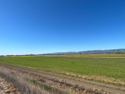 Yolo County, Winters, CA Farm Land For Sale - image 11