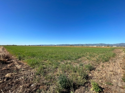 Yolo County, Winters, CA Farm Land For Sale - image 9