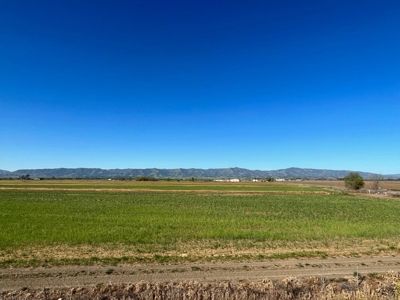 Yolo County, Winters, CA Farm Land For Sale - image 10