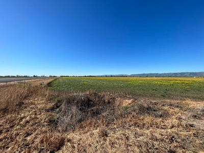 Yolo County, Winters, CA Farm Land For Sale - image 6