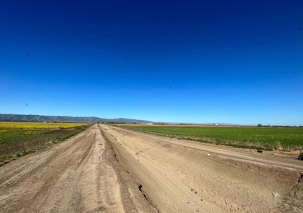 Yolo County, Winters, CA Farm Land For Sale - image 4