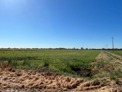 Yolo County, Winters, CA Farm Land For Sale - image 7