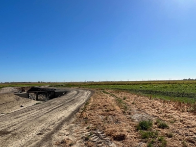 Yolo County, Winters, CA Farm Land For Sale - image 5