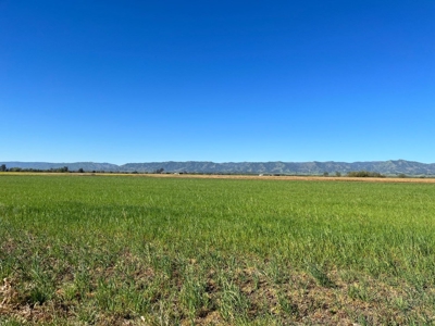 Yolo County, Winters, CA Farm Land For Sale - image 8