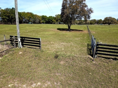 Ranch Style Cbs Home On 20 Acres Of Improved Pasture Land! - image 29