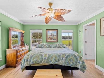 Ranch Style Cbs Home On 20 Acres Of Improved Pasture Land! - image 20