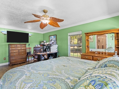 Ranch Style Cbs Home On 20 Acres Of Improved Pasture Land! - image 21