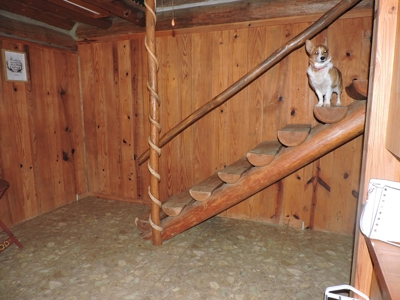 2-Story Log Cabin w/ 80 ACRES - image 19