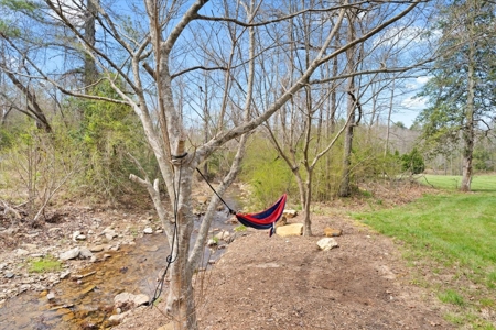 42 Acre Mountain Hideaway with Creeks & Remodeled Farmhouse! - image 8