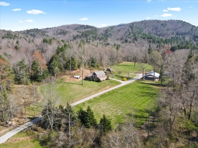42 Acre Mountain Hideaway with Creeks & Remodeled Farmhouse! - image 3