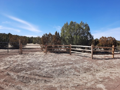 Beautiful Property - image 18