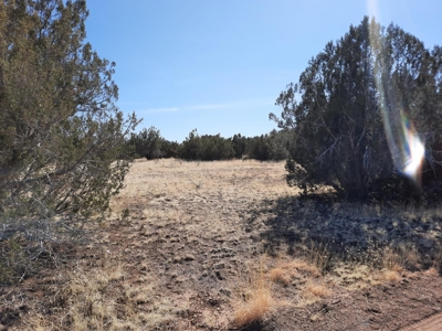 Beautiful Property - image 15