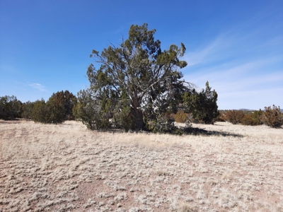 Beautiful Property - image 1