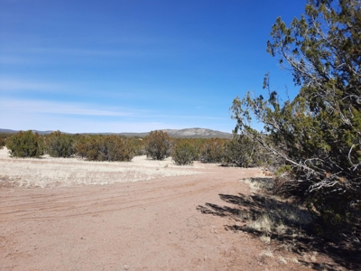 Beautiful Property - image 13