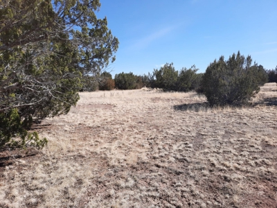 Beautiful Property - image 11