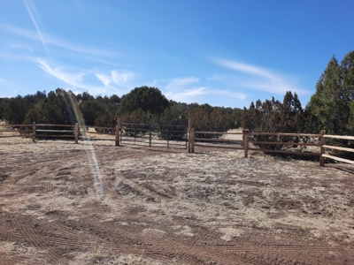 Beautiful Property - image 17