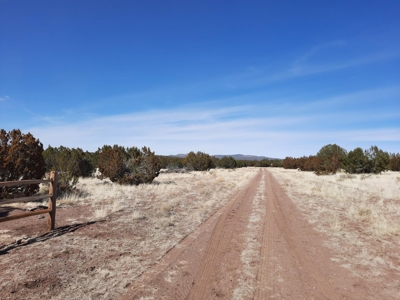 Beautiful Property - image 19