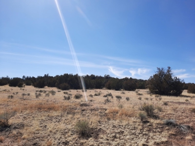 Beautiful Property - image 16