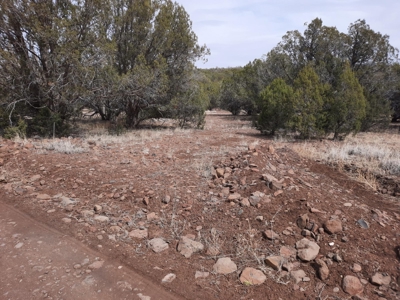 Very Secluded - image 12