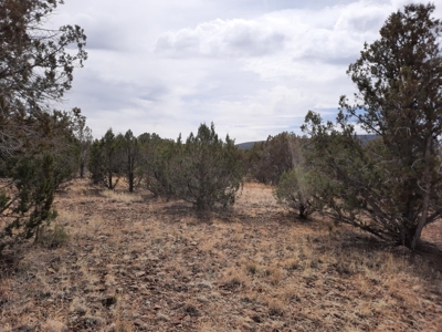 Very Secluded - image 10