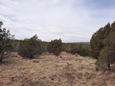 Very Secluded - image 6