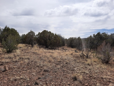 Very Secluded - image 11