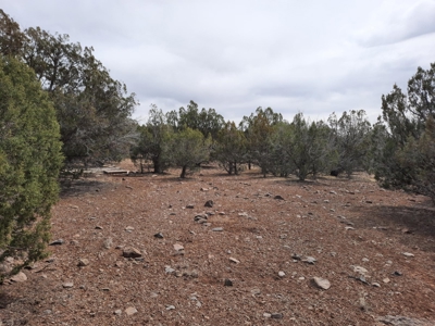 Very Secluded - image 9