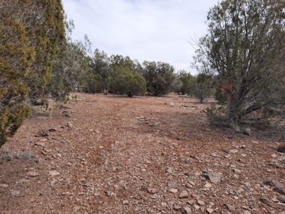 Very Secluded - image 7