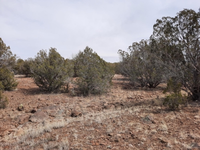 Very Secluded - image 3