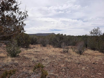 Very Secluded - image 1
