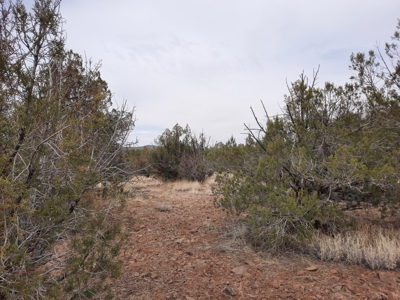 Very Secluded - image 5
