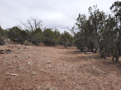Very Secluded - image 8