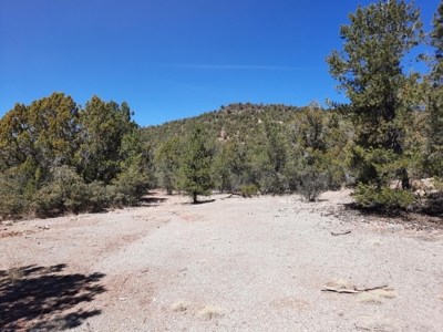 Very Secluded - image 1