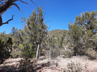 Very Secluded - image 7