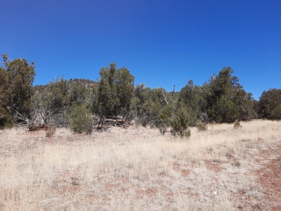 Very Secluded - image 2