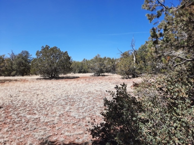 Very Secluded - image 8