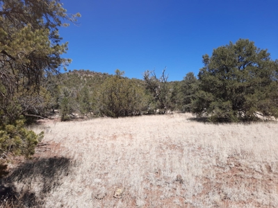Very Secluded - image 3